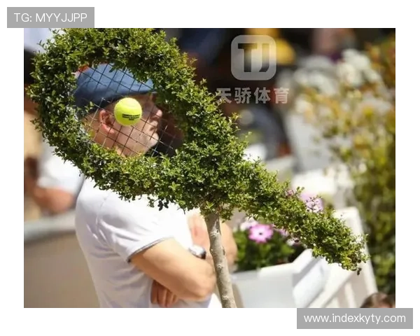 开云体育网球网专业安装与维护服务详解确保您的网球场安全稳定使用体验