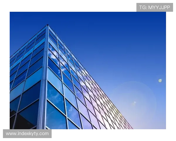 详细解析Kaiyun开云在线地址的功能与使用体验